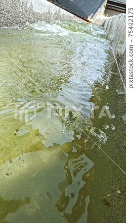 龍舟黑色木槳 75492175