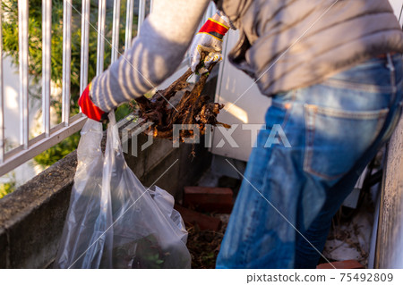 Cleaning up the garden 75492809