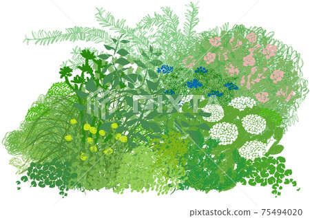 Herbs and flower garden Herbs and flower garden 75494020