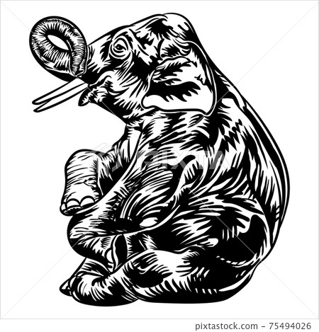 Elephant, black and white engraving style, vector illustration. 75494026