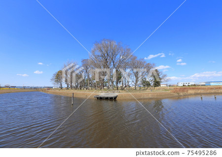 Nakagawa Yashio Mizube no Rakugaku Kizone, Yashio City, Saitama Prefecture 75495286