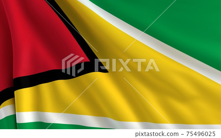 Flag of Guyana 75496025