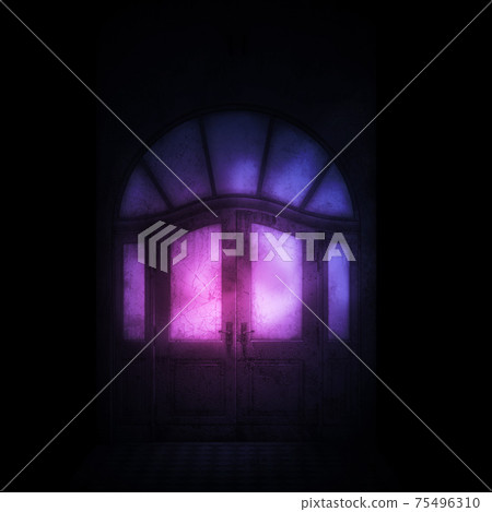 3d door in old building 75496310