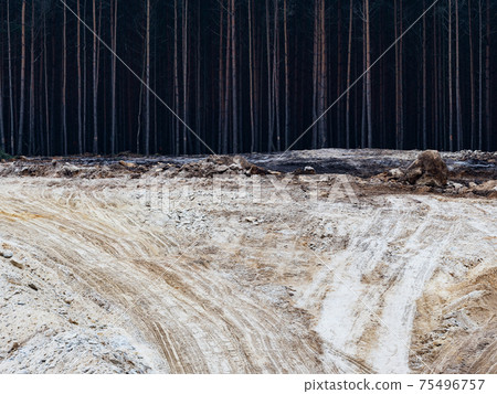 The forest is waiting to break the limits and continue mining. 75496757