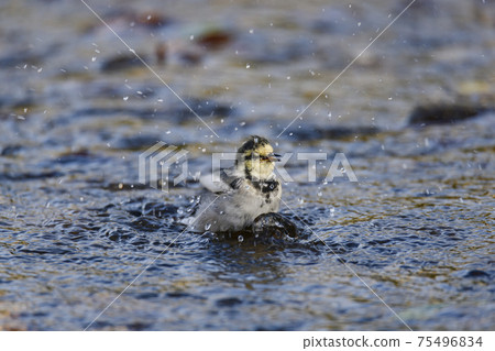Baked in a bath Baked in a bath 75496834