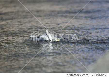 Baked in a bath 75496847