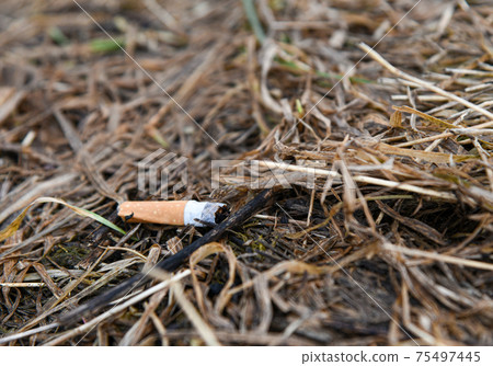 how to clear lungs from cigarette smoke Look Out for Your Lungs: 5 Steps to Keep Your Lungs Healthy