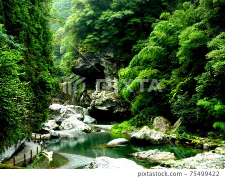 Magnificent nature Magnificent nature 75499422