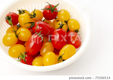 迷你番茄愛子 迷你番茄愛子 75500514