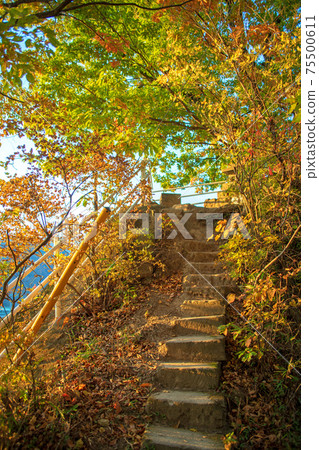 Autumn scenery under the Akagi-cho shelf, Fudo Falls under the shelf, scenery near the entrance Autumn scenery under the Akagi-cho shelf, Fudo Falls under the shelf, scenery near the entrance 75500611