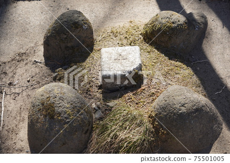 Komoro Castle Ruins and Nostalgia Garden in the winter of Anajiro, which was territorialized by Kansuke Yamamoto and others at the behest of Shingen Takeda during the Warring States period 75501005