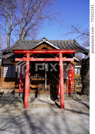 Komoro Castle Ruins and Nostalgia Garden in the winter of Anajiro, which was territorialized by Kansuke Yamamoto and others at the behest of Shingen Takeda during the Warring States period 75501341