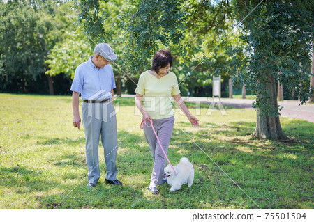 An energetic senior who walks a dog with a couple 75501504