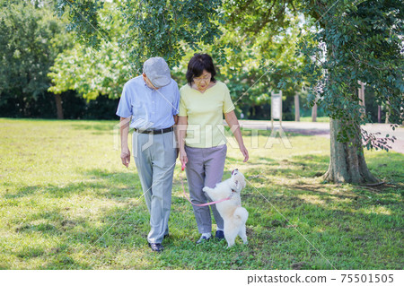 一個精力充沛的老人，與一對夫婦walk狗 75501505