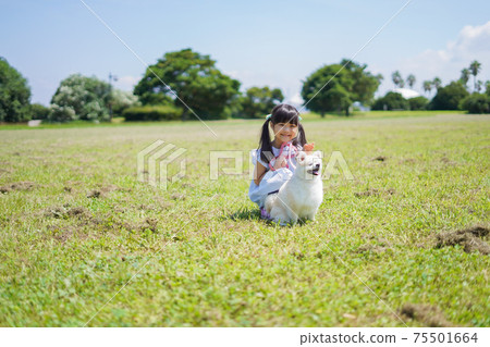 Little girl walking a dog 75501664