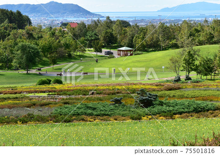 Shiki no Mori Park overlooking the city of Hakodate 75501816