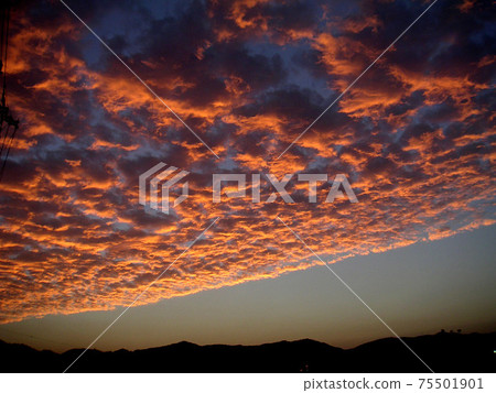 A magnificent cloud dyed in the sunset. The boundary of clouds is clear and the contrast with the sky is clear. 75501901