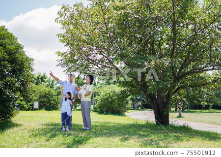 Little girl playing outside with grandparents 75501912