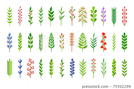 Eco green tree branch leaf berry floral vector set 75502299