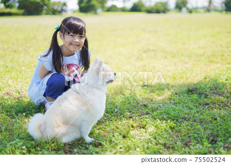 Little girl walking a dog 75502524