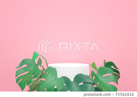 White Podium with green mostera leaves on pink background White Podium with green mostera leaves on pink background 75502818