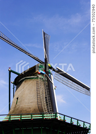 Zaandam windmill in the Netherlands 75502940