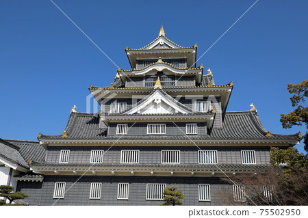 Okayama castle in winter 75502950