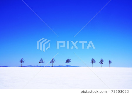 童話山等待北海道解凍 童話山等待北海道解凍 75503033