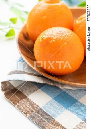Orange Orange 75503333
