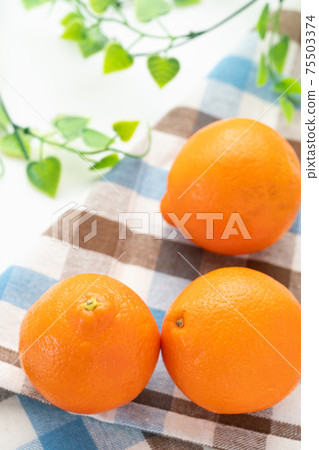 橙 75503374