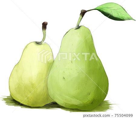 水彩觸摸梨畫 75504099