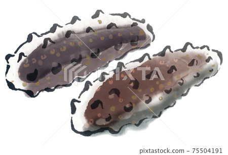 Fresh sea cucumber 2 Fresh sea cucumber 2 75504191