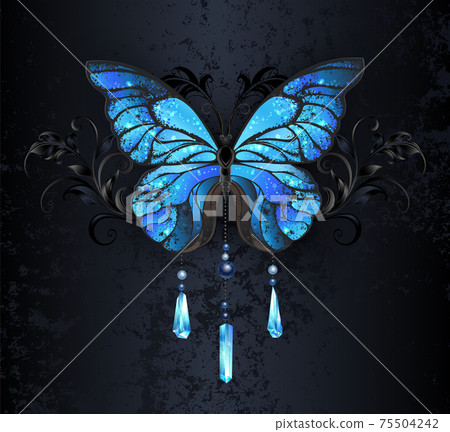 Blue Morpho butterfly on black background Blue Morpho butterfly on black background 75504242