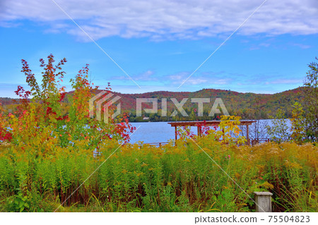 Autumn colors Lake St. Joseph, Canada Autumn colors Lake St. Joseph, Canada 75504823