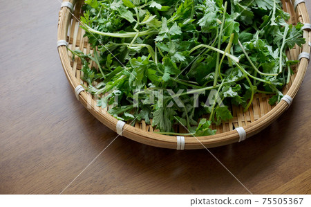 Green leafy vegetables, mugwort, food ingredients 75505367
