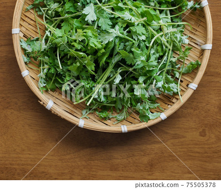 Green leafy vegetables, mugwort, food ingredients Green leafy vegetables, mugwort, food ingredients 75505378