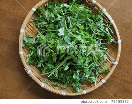 Green leafy vegetables, mugwort, food ingredients Green leafy vegetables, mugwort, food ingredients 75505382