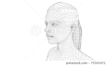Wireframe portrait of a young beautiful girl 75505472