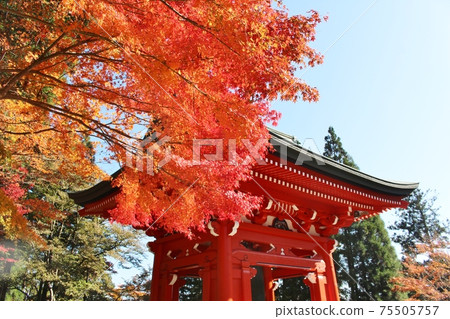 Mt. Hiei Autumn leaves and bell tower Mt. Hiei Autumn leaves and bell tower 75505757