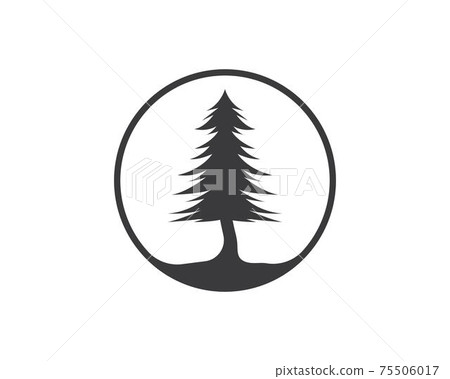 pines tree vector illustration design 75506017