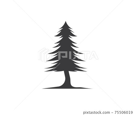 pines tree vector illustration design 75506019