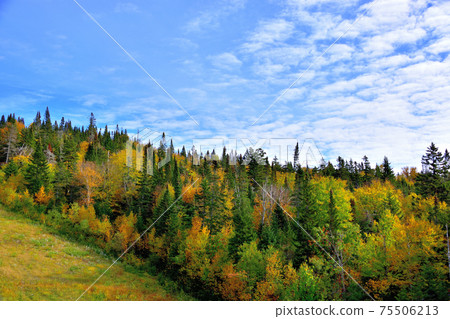 Autumn colors Laurentian Hills, Canada Autumn leaves Autumn colors Laurentian Hills, Canada Autumn leaves 75506213