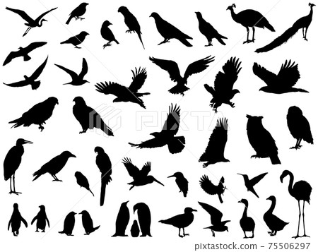 Bird silhouette_set 75506297