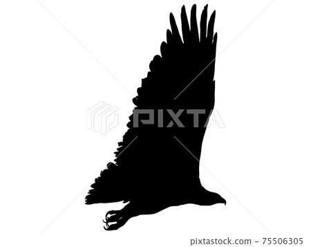 滑翔鷹silhouette_3 75506305