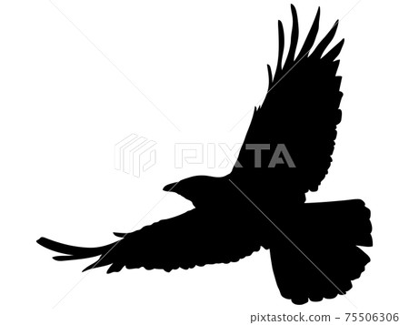 滑翔鷹silhouette_2 75506306