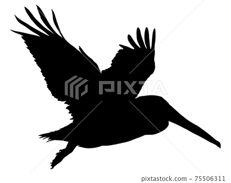 Flapping bird silhouette Flapping bird silhouette 75506311