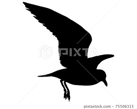 Flapping seagull silhouette_2 75506315