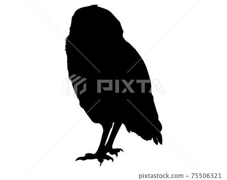 Crow silhouette Crow silhouette 75506321