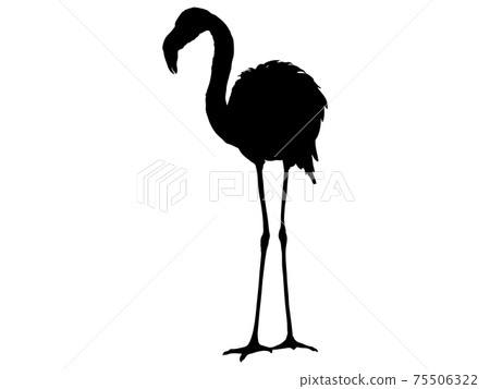 火烈鳥剪影 火烈鳥剪影 75506322