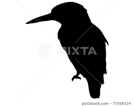 翠鳥的輪廓 翠鳥的輪廓 75506324